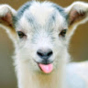 Meet your Posher, Nadya